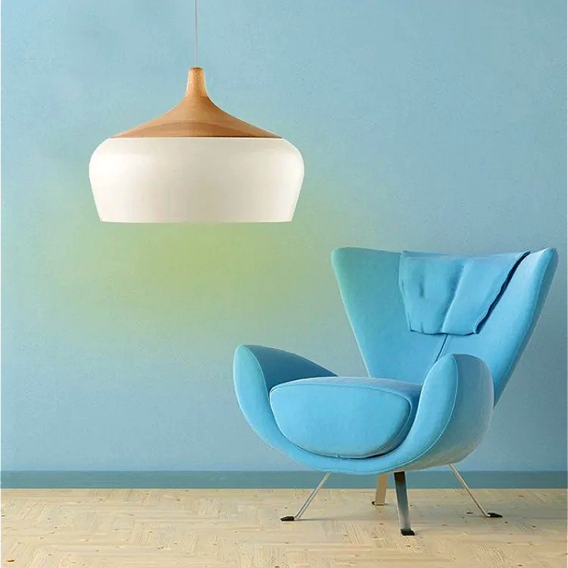 Nordic Aluminum Big Lampshade  - Interior Design Hall 评论和价格